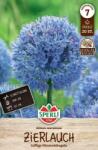 Sperli Zierlauch caeruleum díszhagyma virághagyma