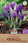 Sperli Gartenkrokus Grand Maitre nagyvirágú krókusz virághagyma