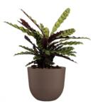 Artevasi Havana Natural 40 cm műanyag növénytartó Linen Taupe