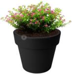 elho Green Basics Top Planter 40 Living B