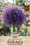 Sperli Zierlauch Globemaster díszhagyma virághagyma