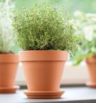 Deroma Vaso 46 cm agyagcserép