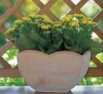 Terrecotte Italiane Cassetta Petalo 30X16X18 cm agyag növénytartó