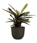 Artevasi Havana Waves 40 cm műanyag növénytartó Moss Green