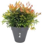 elho Loft Urban Round 70 Anthracite