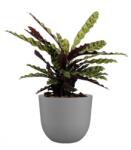 Artevasi Havana Natural 70 cm műanyag növénytartó Limestone Grey