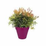 elho Loft Urban Round Wheels 40 Cherry