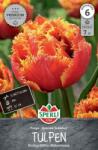 Sperli Premium Gefranste Tulpe Golddust rojtosvirágú telt tulipán virághagyma