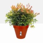 elho Loft Urban Round Wheels 40 Brique