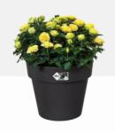 elho Green Basics Top Planter 23 cm Living Black műanyag kaspó