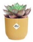 elho vibes fold round mini 9 cm butter yello műanyag növénytartó
