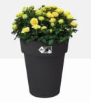 elho Green Basics Top Planter High 35 Liv