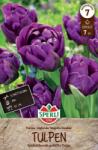 Sperli Gefüllte Späte Tulpe Negrita Double kései teltvirágú tulipán virághagyma