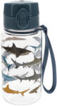 Rex London gyerek műanyag sport kulacs 450ml, Cápa