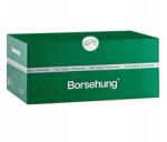 Borsehung Vízpumpa Vw Beetle 2.0 TSI-hez
