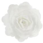 Gyertyakovács Óriás fehér rózsa ostyavirág