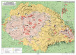 Stiefel Magyar néprajzi iskolai falitérkép (DUO) - stiefelbolt - 26 800 Ft
