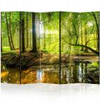  Dekorációs paraván egyoldalas 5 részes 225x172 eklektikus természet (5-2-11-0-3a-1-2-5)