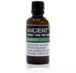 Cotomag Ulei Esential Cajaput 50 ml