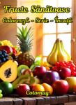 Cotomag Carte de Colorat Fructe Sanatoase: Coloreaza-Scrie-Invata / Carte de Colorat cu Activitati Pentru Copii de 4-8 Ani Carte de colorat