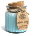 Cotomag Lumanare cu Parfum de Winter Berry si Soia