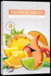 Cotomag Set 6 Lumanari Parfumate - Fructe Tropicale