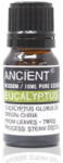 Cotomag Ulei Esential de Eucalipt - 10 ml