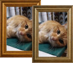 Marek & Darek Kész Keret Akasztáshoz És Állításhoz 20x30 lépcső mintával, 2 Szín, 3 CM (5904996595296)