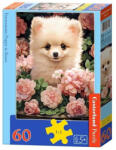 Castorland Pomerániai kiskutya rózsában - 60 (B-066261)