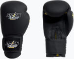 StormCloud Mănuși de box StormCloud Boxing Pro black