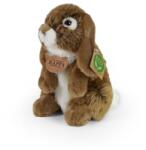Rappa Iepuraș de pluș maro în picioare 18 cm ECO-FRIENDLY (RP201828)
