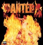 Pantera - Reinventing The Steel (Marbled White & Southern Flames Yellow Marbled Coloured) (LP) (081227891008)
