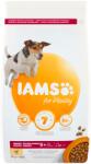 Iams száraz csirkeeledel 3 kg