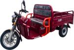 RDB Triciclu Electric cu remorca GRANDE 160x122cm, motor 4000W, Fara Permis, RDB XL-KLASS 4 GRANDE, Omologata, CIV inclus (XL-KLASS4-1)
