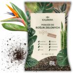 KALINOVA Strelicia talaj 8L bigos típusú zöld növények táptalaja (monstery fikusa strelicji epipremnum palmy)