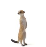 Mojo Suricata mea (DDMJ387125) Figurina