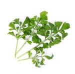 VÉritable (Франция) Пълнител (лингот) Garden cress Organic за настолна градина Véritable® - градински кресон (VLIN-J10-Cre024)