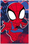  Pókember polár takaró 100*150cm (SPM1884)