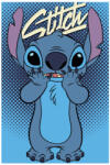  Disney Lilo és Stitch, A csillagkutya polár takaró 100*150cm (STI1030)