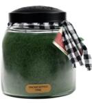 Keepers of the Light Keepers of the Light® Snowcapped Pine nagy üveggyertya 964 g