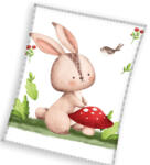  Nyuszi Forest coral fleece polár takaró 110x140cm (CBX231134KNL) - szukits