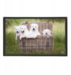 Viquel asztali alátét kutya mintás kiskutya íróasztal védelem