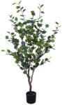 Bizzotto Eucalipt artificial in ghiveci 75x150 cm (0173042deco)