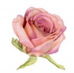 Dalia-RP Rózsa Memory fej rózsaszín-barack művirág csokor (do wiązanek bukietów kompozycji)