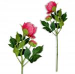 Inspiruj Bazsarózsa Hab Virágok Bazsarózsa Ágak Bazsarózsa Művirágok Váza (HD00683)