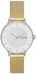 Skagen SKW3092 Ceas