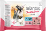 Briantos 4x100g Briantos nedves kutyatáp tasakos próbacsomag Falatkák szószban (lazac & marha)