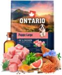 ONTARIO Puppy Large Chicken & Sweet Potatoes 2, 25 kg