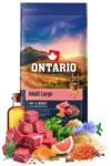 ONTARIO Adult Large Beef & Brown Rice 12 kg