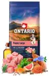 ONTARIO Puppy Large Chicken & Sweet Potatoes 12 kg